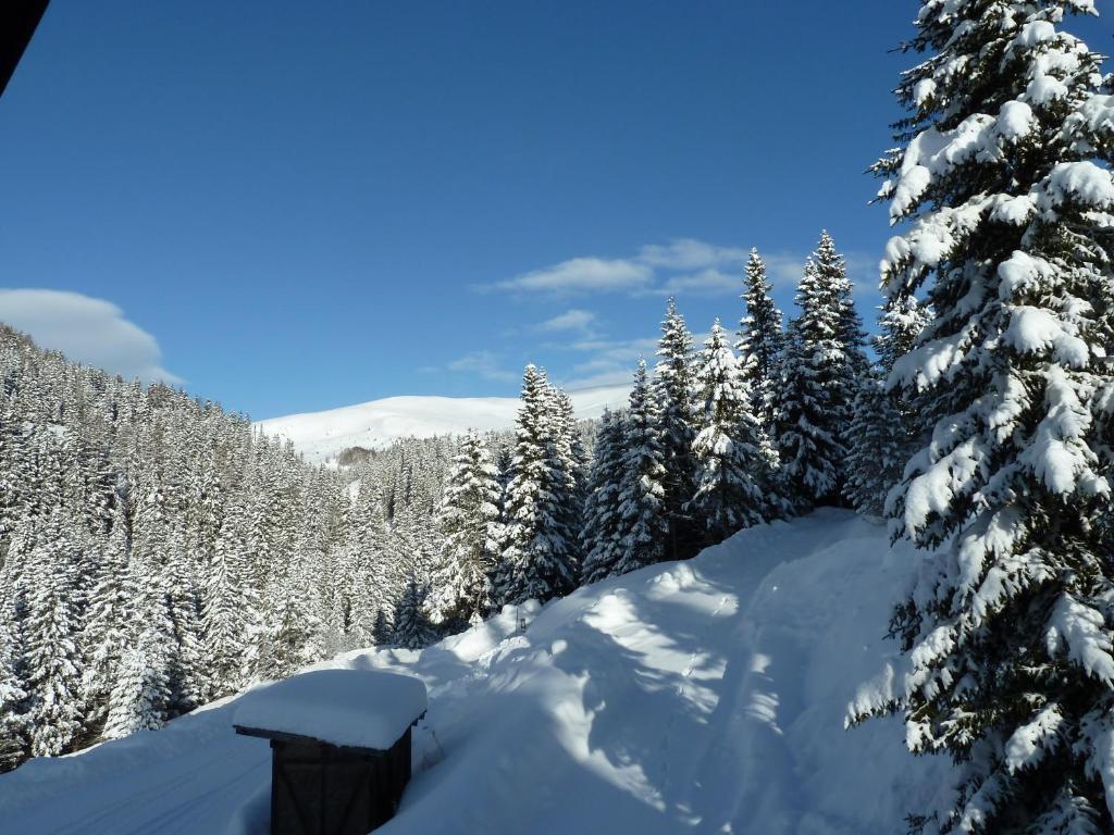 Bruckerhütte Bed and Breakfast Lachtal Habitación foto