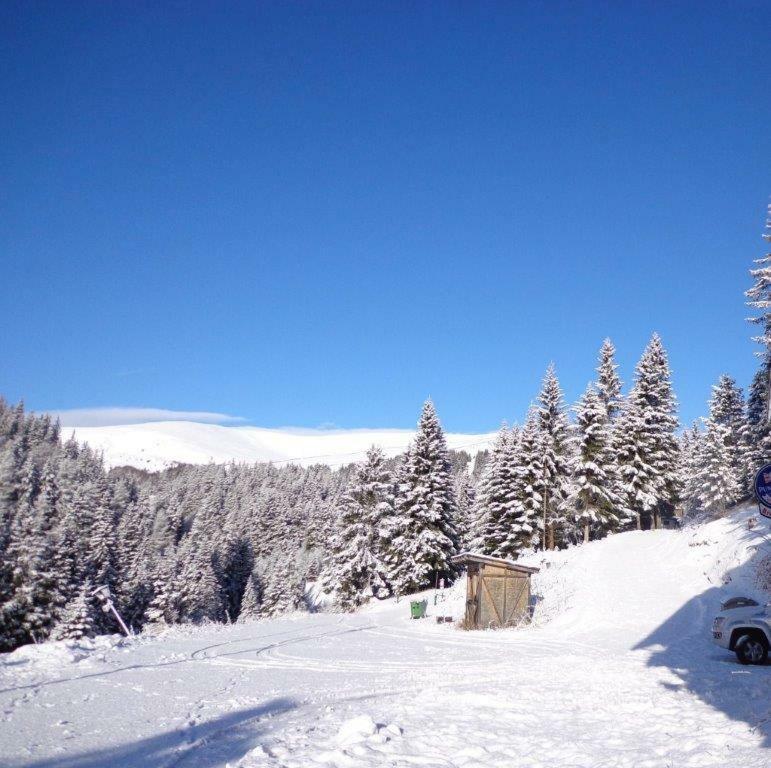 Bruckerhütte Bed and Breakfast Lachtal Exterior foto